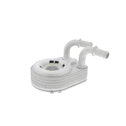VEMO Oil Cooler, engine oil V24-60-0013