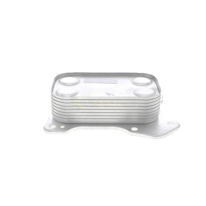 VEMO Oil Cooler, engine oil V24-60-0020
