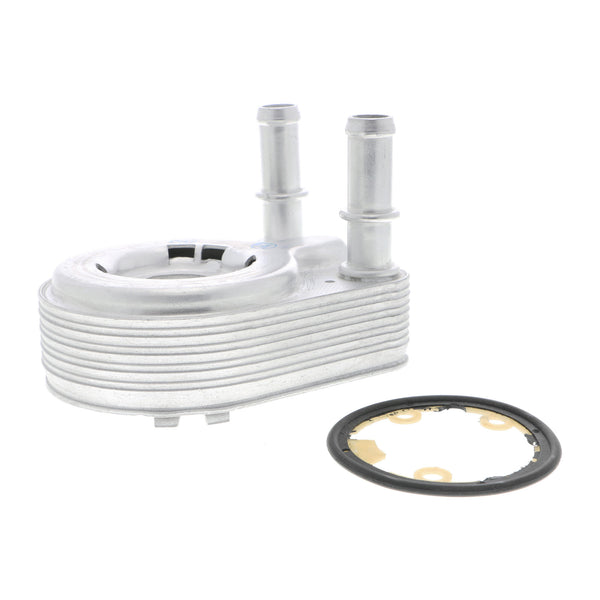 VEMO Oil Cooler, engine oil V24-60-0021
