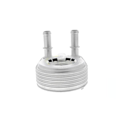 VEMO Oil Cooler, engine oil V24-60-0021
