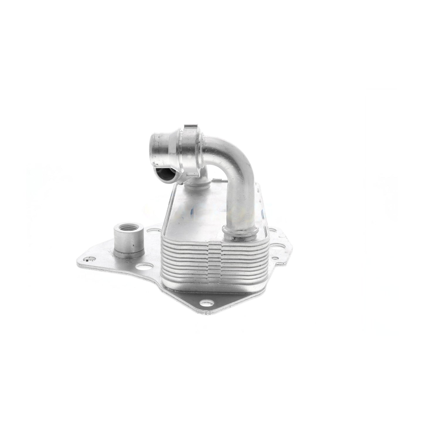 VEMO Oil Cooler, engine oil V24-60-0051