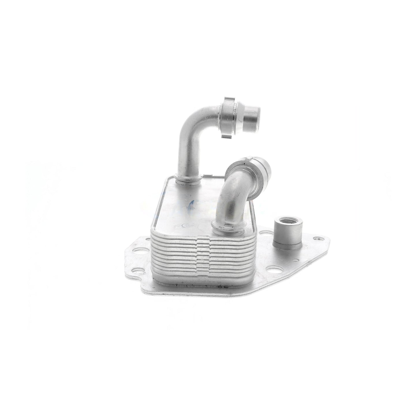 VEMO Oil Cooler, engine oil V24-60-0051