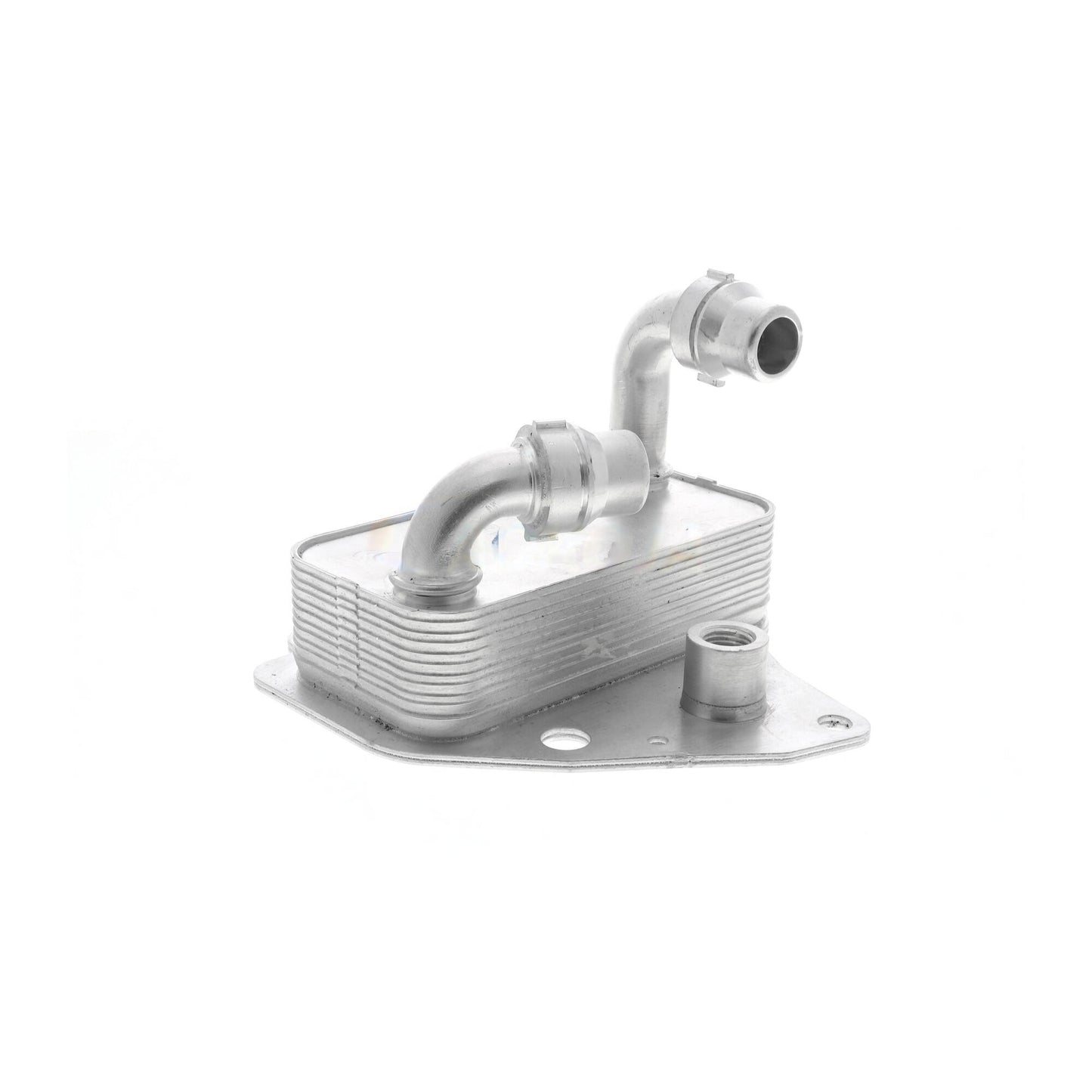VEMO Oil Cooler, engine oil V24-60-0051