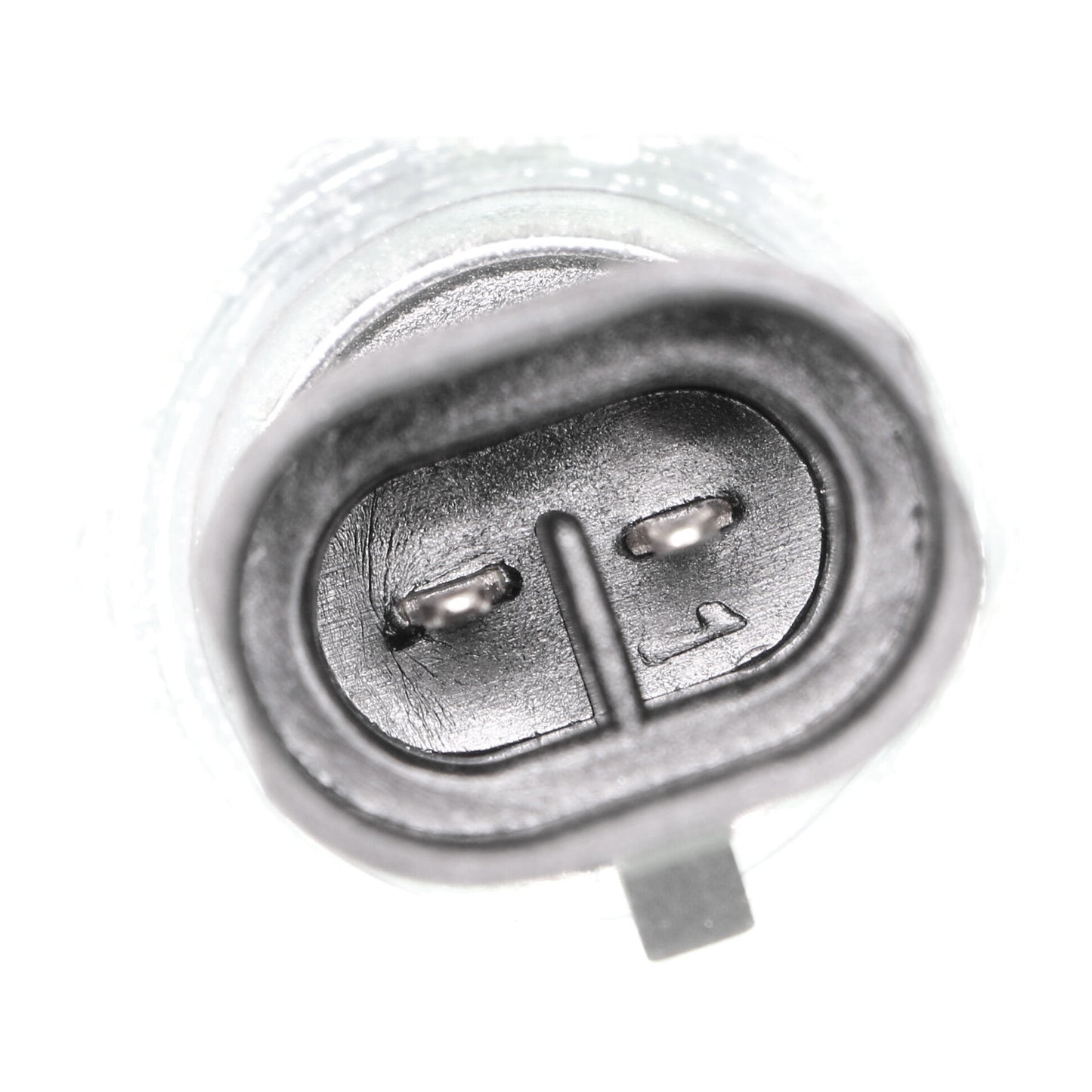 VEMO Switch, reverse light V24-73-0015