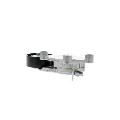 VAICO Tensioner Pulley, V-ribbed belt V25-0341