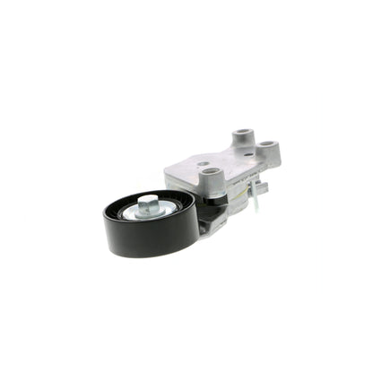 VAICO Tensioner Pulley, V-ribbed belt V25-0341