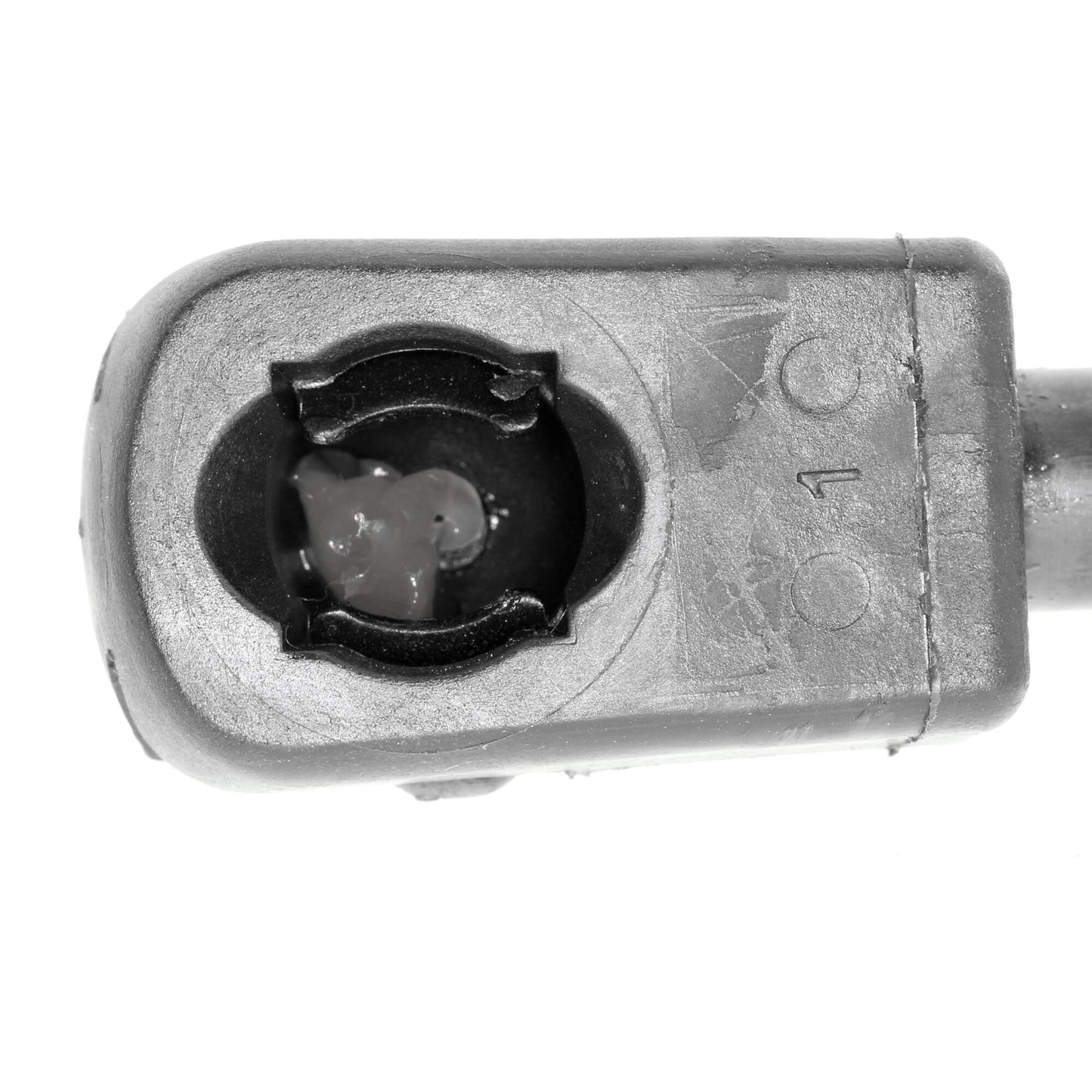 VAICO Gas Spring, boot/cargo area V25-0419