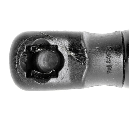 VAICO Gas Spring, boot/cargo area V25-0419