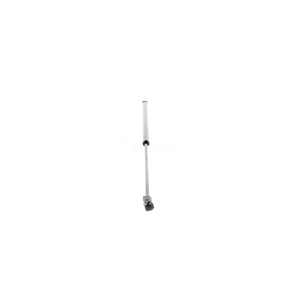 VAICO Gas Spring, boot/cargo area V25-0419