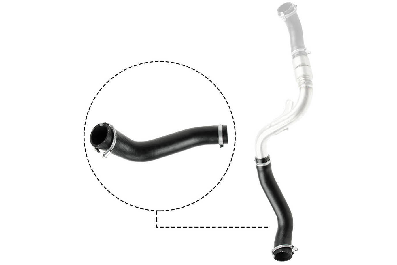 VAICO Charge Air Hose V25-1488