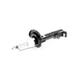 VAICO Shock Absorber V25-1855