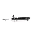 VAICO Shock Absorber V25-1855