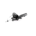 VAICO Shock Absorber V25-1859