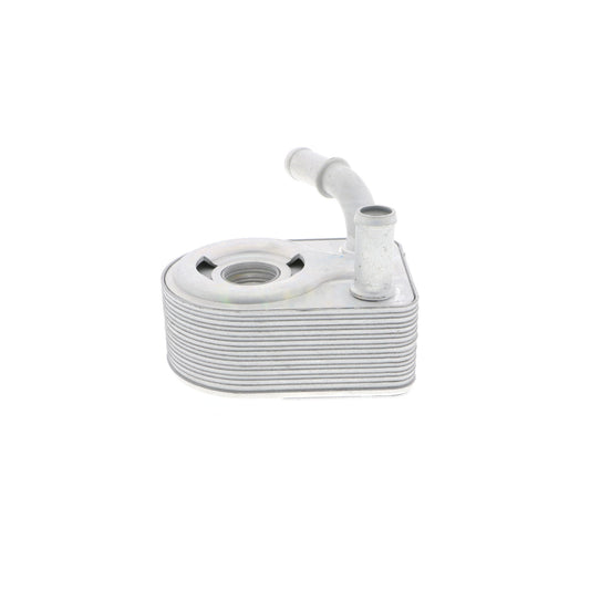 VEMO Oil Cooler, engine oil V25-60-0027