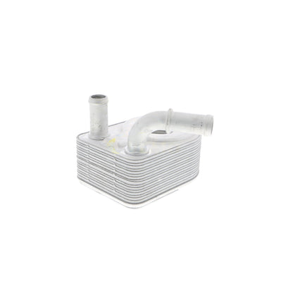 VEMO Oil Cooler, engine oil V25-60-0027