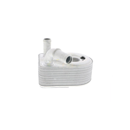 VEMO Oil Cooler, engine oil V25-60-0027