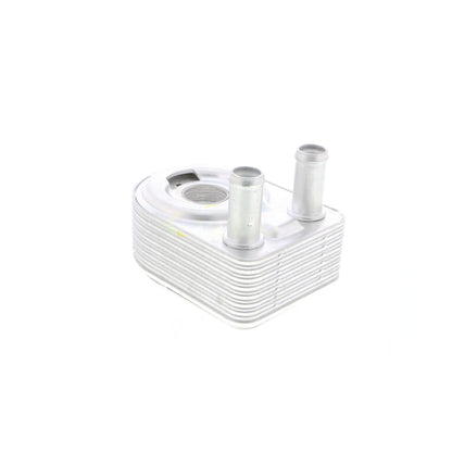 VEMO Oil Cooler, engine oil V25-60-0028