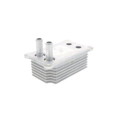 VEMO Oil Cooler, engine oil V25-60-0031