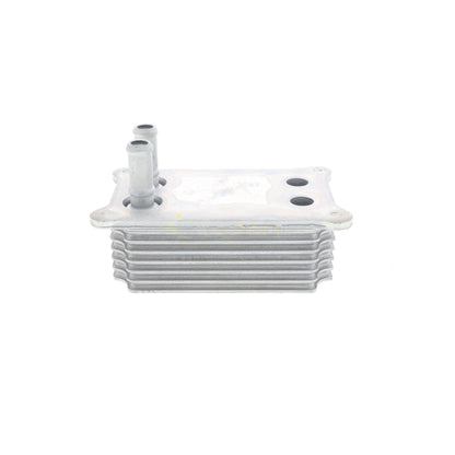 VEMO Oil Cooler, engine oil V25-60-0031