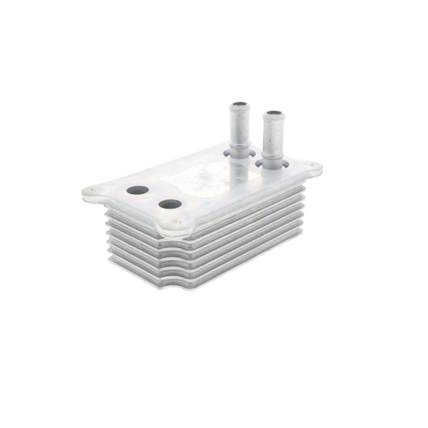 VEMO Oil Cooler, engine oil V25-60-0031