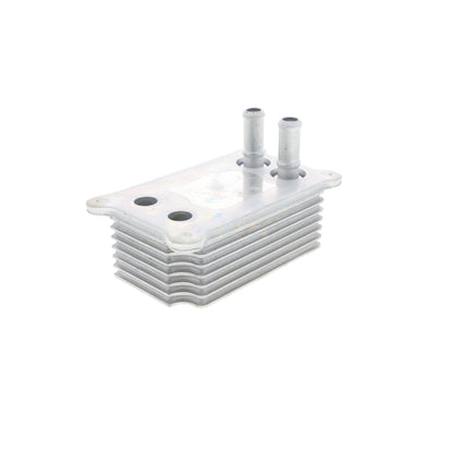 VEMO Oil Cooler, engine oil V25-60-0031