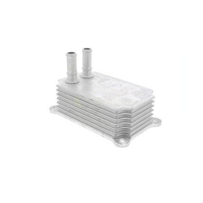 VEMO Oil Cooler, engine oil V25-60-0033