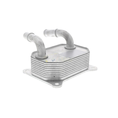 VEMO Oil Cooler, engine oil V25-60-0041