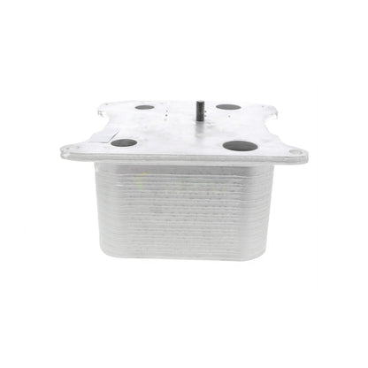 VEMO Oil Cooler, engine oil V25-60-0042