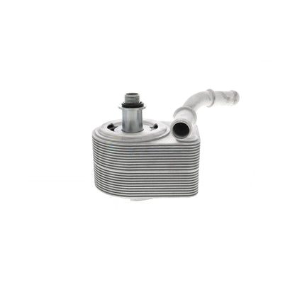 VEMO Oil Cooler, engine oil V25-60-0049
