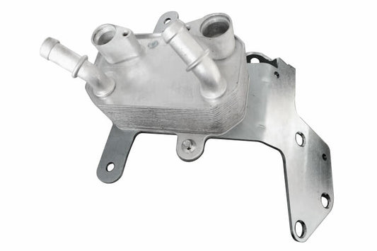 VEMO Oil Cooler, automatic transmission V25-60-3025
