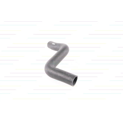 VAICO Radiator Hose V30-0728