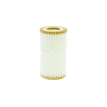 VAICO Oil Filter V30-0859