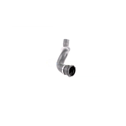 VAICO Radiator Hose V30-1457