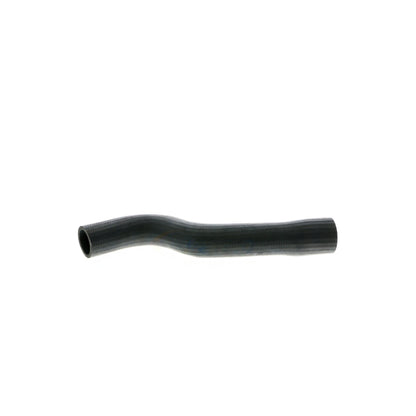 VAICO Radiator Hose V30-1622