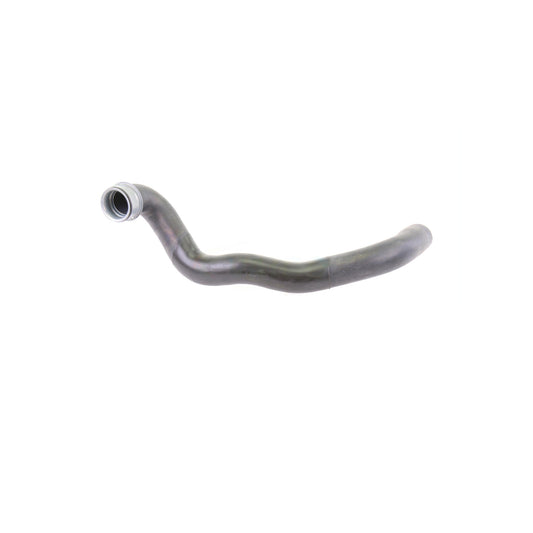 VAICO Radiator Hose V30-1651