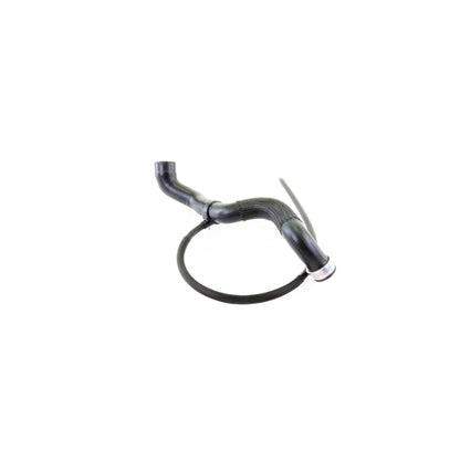 VAICO Radiator Hose V30-1654