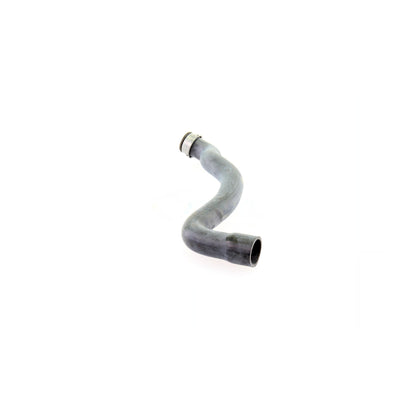 VAICO Radiator Hose V30-1655