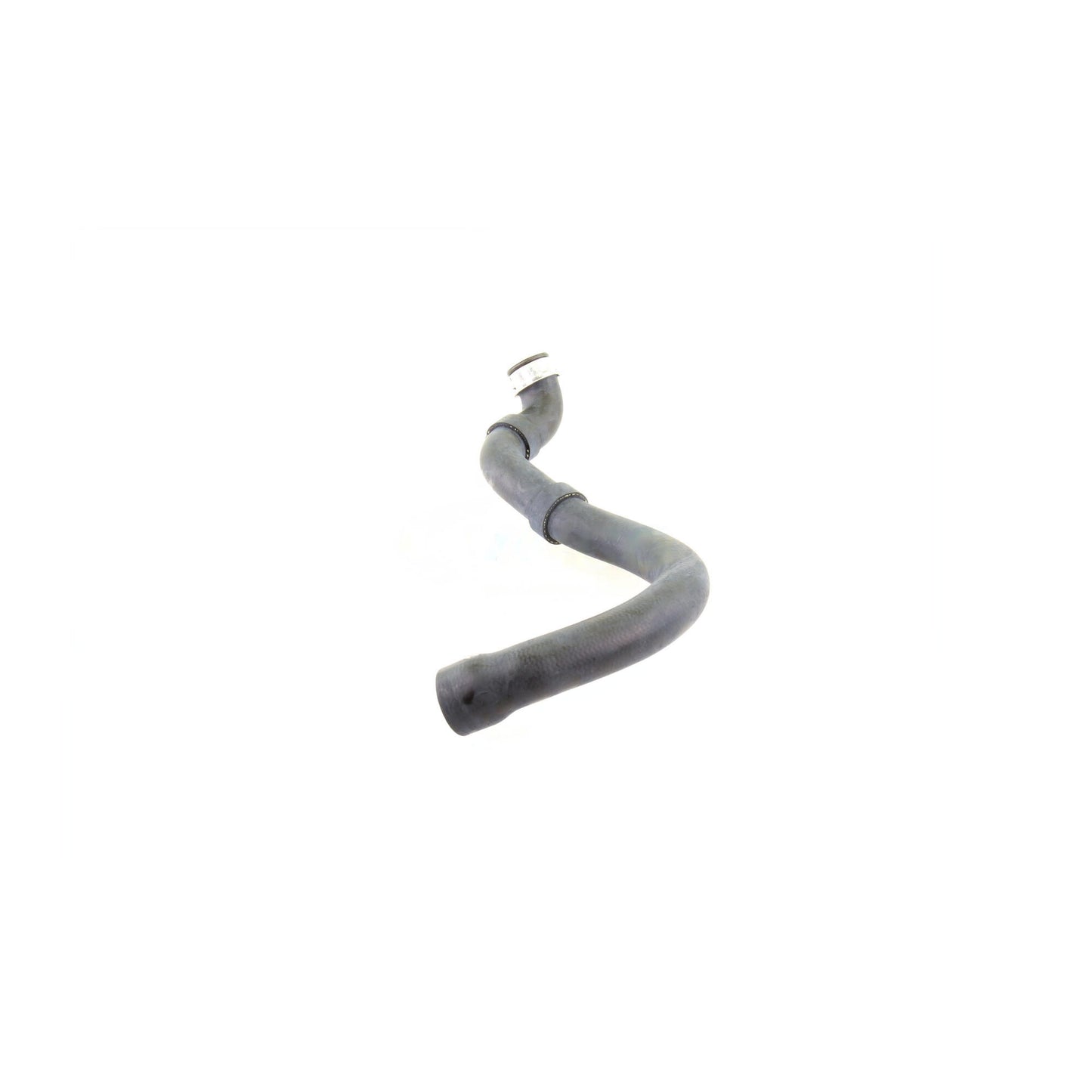 VAICO Radiator Hose V30-1661