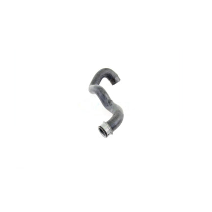 VAICO Radiator Hose V30-1919
