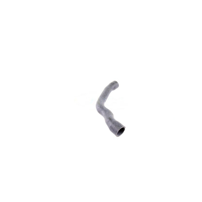 VAICO Radiator Hose V30-2099