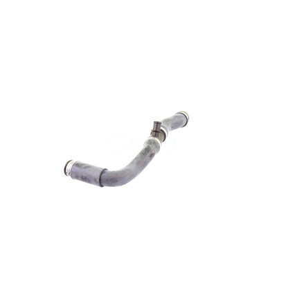 VAICO Radiator Hose V30-2222