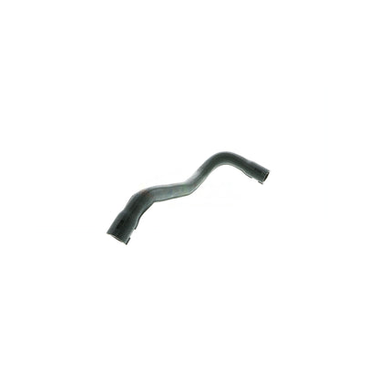 VAICO Radiator Hose V30-2477