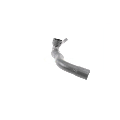 VAICO Radiator Hose V30-3264