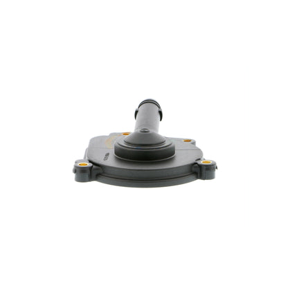 VAICO Housing Cover, crankcase V30-4124