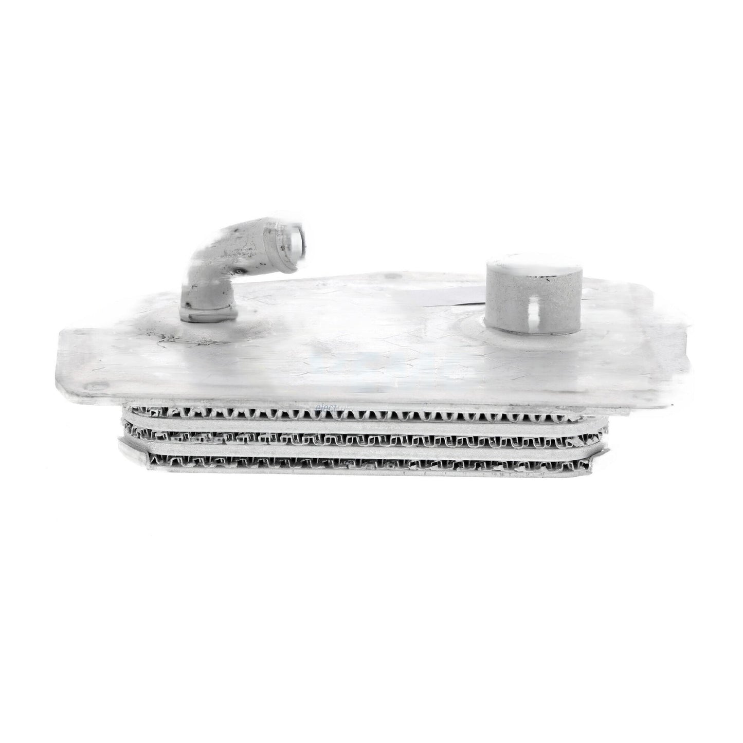 VEMO Oil Cooler, engine oil V30-60-0004
