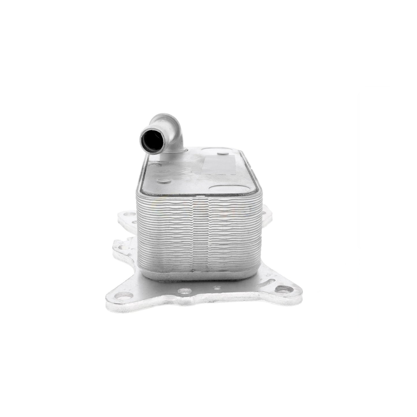 VEMO Oil Cooler, engine oil V30-60-0007