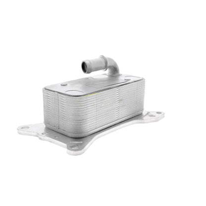 VEMO Oil Cooler, engine oil V30-60-0007