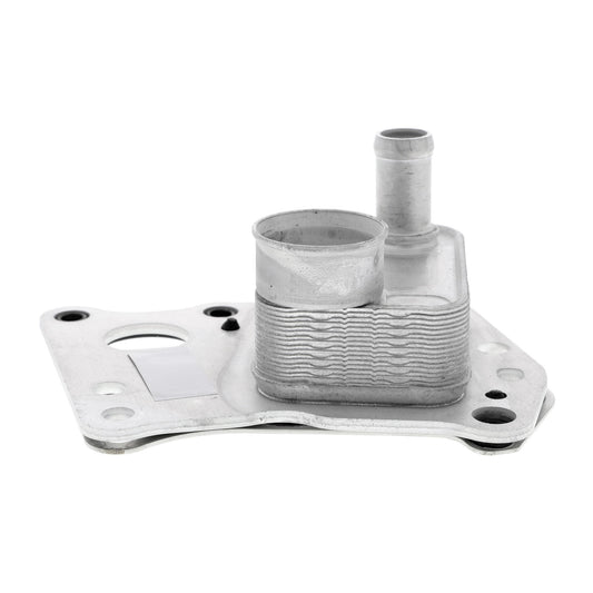 VEMO Oil Cooler, engine oil V30-60-0008
