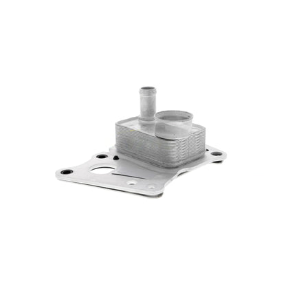 VEMO Oil Cooler, engine oil V30-60-0008