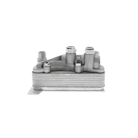 VEMO Oil Cooler, automatic transmission V30-60-0009
